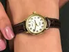 Dámské hodinky Timex T20071 hnědé Náhled obrázku produktu 15