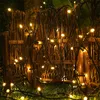A string of warm white fairy lights is draped over a rustic wooden fence, with green grass in the foreground. Voir les images du produit