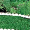 Prosperplast Obrzeże Ogrodowe 10M Garden Line Brąz Produktbild-Vorschau 9