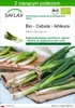 SAFLAX - Bio - Cebula - Ishikura - 150 Nasiona - Z podłożem Podgląd zdjęcia produktu 1