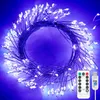A coiled string of lights with a remote control and USB connector. Produktbild-Vorschau