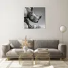 Bilder auf glas - Einteilig - Nashorn Monochrom Tier - Produktbild-Vorschau 7