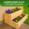Stufenbeet mit 2 Stufen aus Kiefer natur Pflanzkasten Produktbild-Vorschau 5
