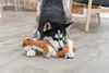 TRIXIE Erdmännchen Hundespielzeug - diverse - 40 cm Produktbild-Vorschau 4