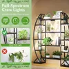 A multi-tiered plant stand with integrated grow lights, showcasing healthy plants with lights and unhealthy plants without. Produktbild-Vorschau
