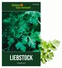 Liebstock Maggikraut Samen - Levisticum officinale - Produktbild-Vorschau 1