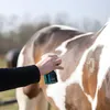 Excellent Horse Hi Gloss Glitter Spray silber 250 ml Produktbild-Vorschau 4