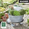 WAGNER Pflanzenroller / Transporthilfe MAXIGRIP Ø 58 x 14,5 Produktbild-Vorschau 3