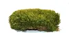 Natur Hügelmoos waldgrün 35 x 25 cm, reines Naturprodukt Produktbild-Vorschau 3
