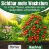 DÜNGEMEISTER Premium Gartendünger gegen mickrige Ernte & Produktbild-Vorschau 4
