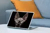 MuchoWow® Laptop Aufkleber Sticker Cover Katze - Haustiere Produktbild-Vorschau 4