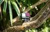 Filtro CPL Freewell per GoPro HERO12/HERO11/HERO10/HERO9 Anteprima dell’immagine prodotto 6