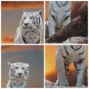 Bild auf Leinwand - Leinwandbild - Einteilig - Tiger weiß Produktbild-Vorschau 8