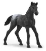 Horse box with mare and foal. Schleich box with 34 elements Productafbeelding-voorbeeld 20
