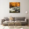 Bilder auf glas - Stream Herbst Forrest Berg - 70x70cm - Produktbild-Vorschau 7