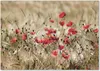 Tulup® Glas-Bild - 100 x 70 - Wandbild aus Glas - Wandkunst Produktbild-Vorschau 1