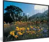 MuchoWow® MuchoWow® Gerahmtes Poster Blumen - Natur - Farbe Produktbild-Vorschau 1