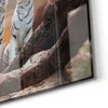 DEQORI Glasbild Echtglas 30x30 cm 'Weiße Tiger im Produktbild-Vorschau 5