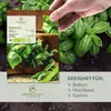Basilikum Samen Sweet Genovese - Küchenkräuter Saatgut aus Produktbild-Vorschau 2