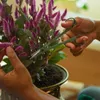 Fiskars Set de ciseaux pour le soin des plantes avec Voir les images du produit 13