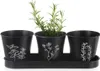 Orion vaso per erbe aromatiche Vaso per piante aromatiche Anteprima dell’immagine prodotto 2