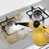 Dampfreiniger, Dampfreiniger Handgerät, Küchen, für Böden, Produktbild-Vorschau 10