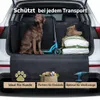 BigDean : protection de coffre pour chien avec protections Voir les images du produit 2