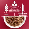 Kellogg's Choco Krispies (6 x 330 g) – schokoladige Produktbild-Vorschau 4