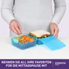 A person is packing a lunchbox with fruits, pretzels, and a sandwich. Podgląd zdjęcia produktu