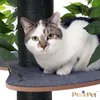Kratzbaum Natur zum Klettern, Verstecken und Schlafen - Produktbild-Vorschau 9