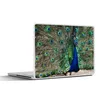 MuchoWow® Laptop Aufkleber Sticker Cover Pfauenfedern - Produktbild-Vorschau 1
