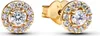 A pair of gold stud earrings with clear stones, shown against a white background. Produktbild-Vorschau
