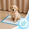 Trainingspads Welpenunterlagen für Hunde, Hygienische Pee Produktbild-Vorschau 11