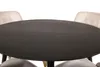 DippØ115BLBR Essgruppe Esstisch schwarz und 4 Velvet Deluxe Produktbild-Vorschau 2