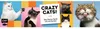 Memo-Spiel: Crazy cats! Produktbild-Vorschau 3
