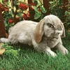 Folkmanis Hase Handpuppe 41 cm Produktbild-Vorschau 3