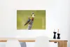 MuchoWow® Poster Vögel - Zweig - Porträt 60x40 cm - Produktbild-Vorschau 5