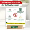 Legona Schlupfwespen gegen Lebensmittelmotten – 1 Lieferung Produktbild-Vorschau 3