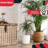 A living room scene with plants and a storage chest. Produktbild-Vorschau
