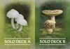 Asmodee Undergrove, Brettspiel, 10 Jahr(e), 15 min Produktbild-Vorschau 10