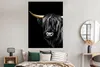 MuchoWow® Poster Schottischer Highlander - Horn - Gold Produktbild-Vorschau 4
