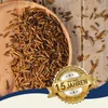 10 kg Lyra Pet® Soldatenfliegenlarven Produktbild-Vorschau 4