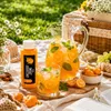 Syrop Kumkwatowy 100ml BubbleJoy Koncentrat Owocowy do Podgląd zdjęcia produktu 13