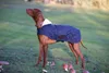 Kentucky Dogwear Hundemantel Original Hundejacke Marine L Anteprima dell’immagine prodotto 8
