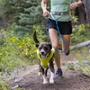 Ruffwear Trail Runner Leine Blue Pool Produktbild-Vorschau 3