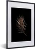 MuchoWow® MuchoWow® Gerahmtes Poster Blatt - Feder - Produktbild-Vorschau 1