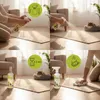 ISOKOR | Anti Urine Cleaner | 500 ml | Natürlicher veganer Produktbild-Vorschau 5