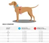 HUNTER Hundegeschirr Hilo Comfort, Farbe: türkis, Easy Produktbild-Vorschau 7