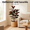 Mica Decorations Fíkus – umělá rostlina – realistická umělá Náhled obrázku produktu 4