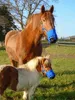 Anti-Graas Pferdemaulkorb The Ultimate Muzzle, Größe: Pony Produktbild-Vorschau 7